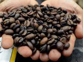 Produk Kopi Indonesia