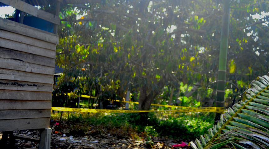 Pohon Durian Tempat Alm gantung Diri
