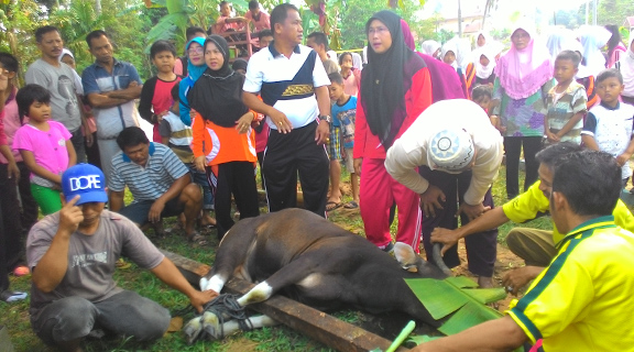 Saat libur Kabut Asap, ini yang dilakukan SMP N 2 Kundur