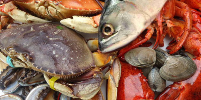 Manfaat Konsumsi ikan secara teratur