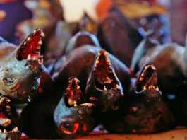 Kelelawar-kelelawar di Pasar Tomohon