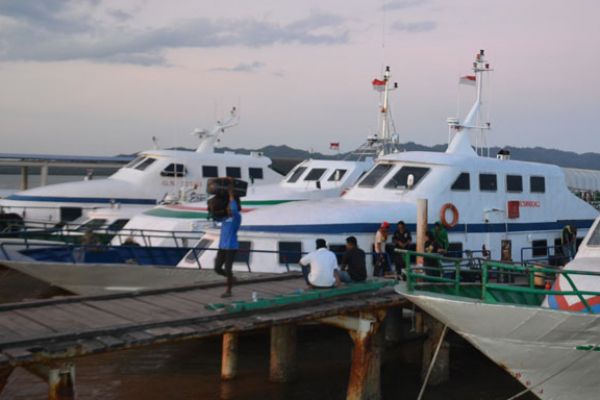 Pelabuhan Ilegal Paling Banyak di Daerah Perbatasan Pelabuhan Ilegal Paling Banyak di Daerah Perbatasan