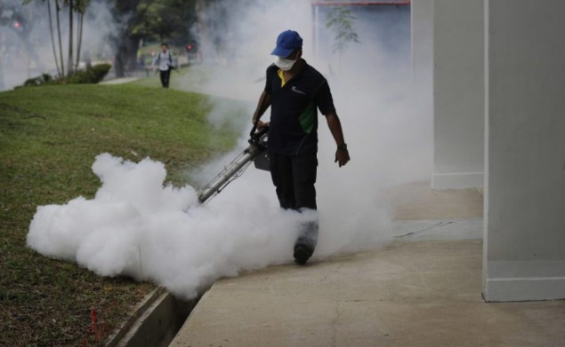 Penyebaran Virus Zika di Singapura Melonjak Jadi 275 Kasus