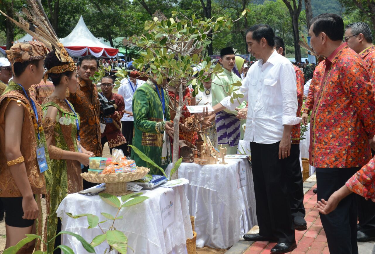 Sail Selat Karimata 2016: Momentum Bangkitkan Semangat Bahari