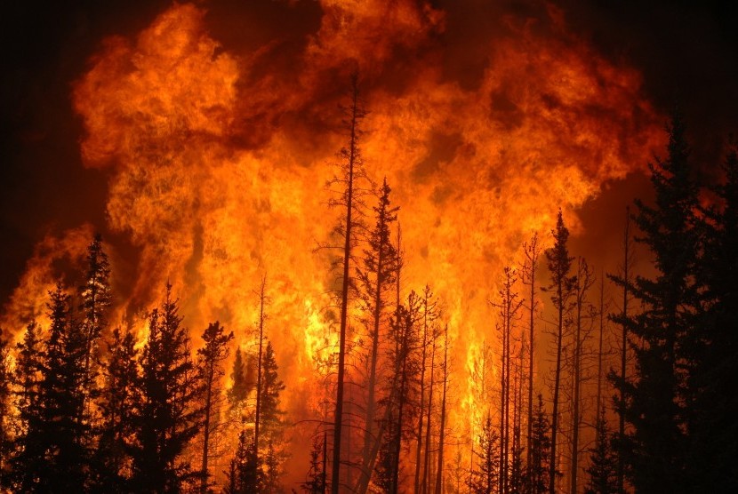 Lahan Terbakar di Riau Tembus 3.810 Hektare