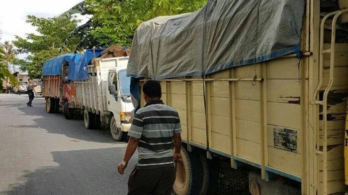 Polda Riau Amankan Enam Truk Bermuatan Kayu Diduga Hasil Ilegal Logging