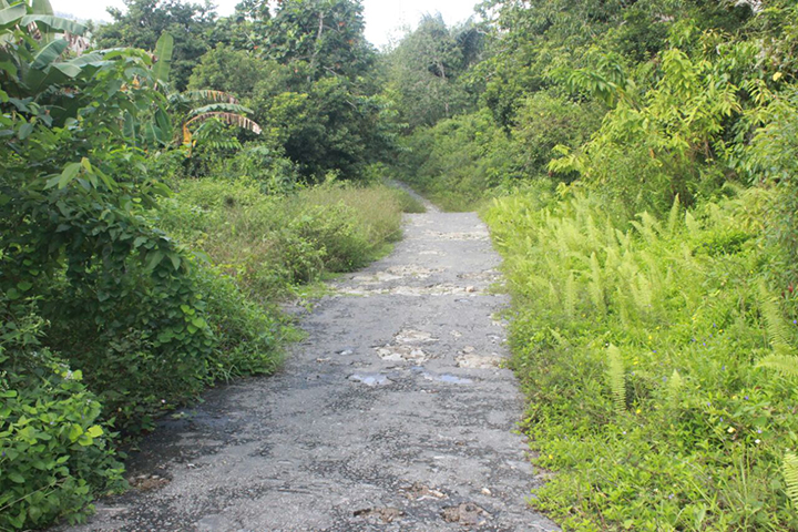 Jalan air padang kecamatan siantan kabupaten kepulauan Anambas berlobang semak belukar hampir menutup ruas jalan - Kundur news-2-1-17