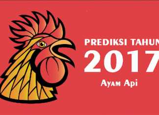 Prediksi tahun ayam api 2017