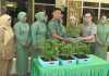 kementrian_pertanian_membagikan_5000_bibit_cabai_berpolybag