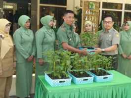 kementrian_pertanian_membagikan_5000_bibit_cabai_berpolybag