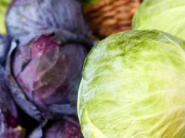 sayur_yang_kurang_populer_ini_menyimpan_banyak_khasiat