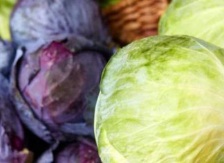 sayur_yang_kurang_populer_ini_menyimpan_banyak_khasiat