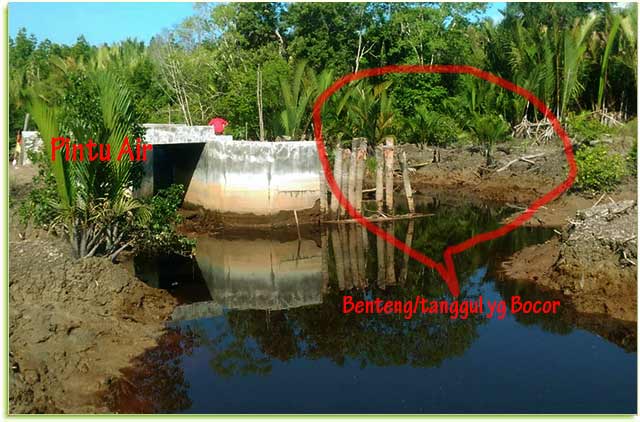 Pintu-Air-Parit-Siping-Sei-Ungar-Utara