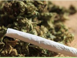 Warga-Tanjungsamak-Bawa-Ganja-Dari-Malaysia-ke-Karimun