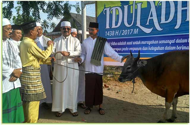 Bupati Karimun, H Aunur Rafiq saat menyerahkan sapi kurban kepada PHBI Kundur, usai Sholat Ied di Lapangan Gelora Tg. Batu (1/9/17)