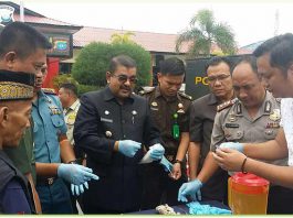 Bupati Karimun Minta IWO Membantu Memberantas Peredaran Narkoba Bupati-Karimun-Minta-IWO-Membantu-Memberantas-Peredaran-Narkoba