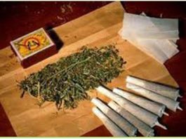 5-Pengedar-Ganja-1,3-Kilogram-Ditangkap-di-Batam