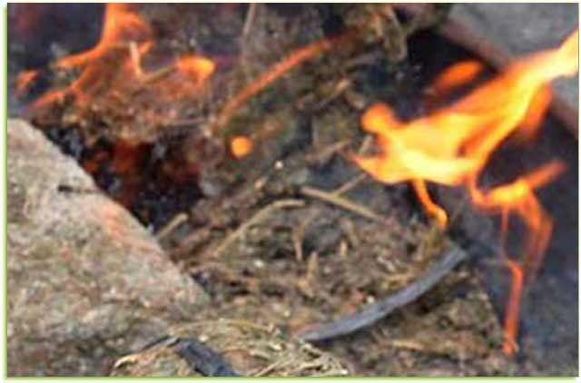 Ganja 748,3 Gram Dimusnahkan Polda Kepri