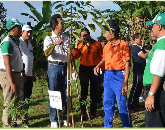 Wujudkan-Bali-Clean-And-Green,-Bali-Perluas-Lahan-Terbuka-Hijau
