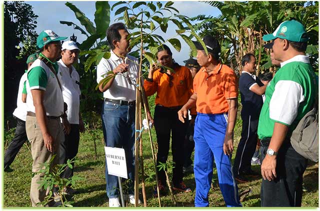 Wujudkan-Bali-Clean-And-Green,-Bali-Perluas-Lahan-Terbuka-Hijau