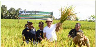 Wakil Gubernur Bali, Ketut Sudikerta saat membuka Temu Lapang dan Gelar Teknologi Padi Hibrida dan Panen Perdana Padi Hibrida bertempat di Subak Tajen, Kecamatan Penebel, Kabupaten Tabanan, (5/12).