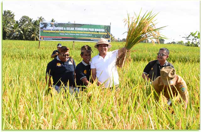 Wakil Gubernur Bali, Ketut Sudikerta saat membuka Temu Lapang dan Gelar Teknologi Padi Hibrida dan Panen Perdana Padi Hibrida bertempat di Subak Tajen, Kecamatan Penebel, Kabupaten Tabanan, (5/12).