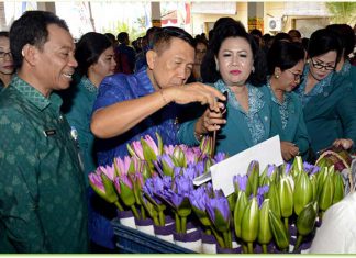 Gubernur-Bali-Akui-Program-Bali-Mandara-Belum-Terealisasi-Dengan-Optimal