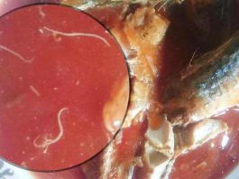 Asal-Mulanya-Cacing-Dalam-Kaleng-Sarden