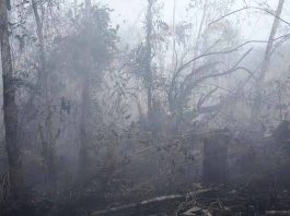 Kebakaran hutan di wilayah Sei Ungar Utara, Kecamatan Kundur Utara, saat ini menyisakan asap-asap yang menimbulkan kabut