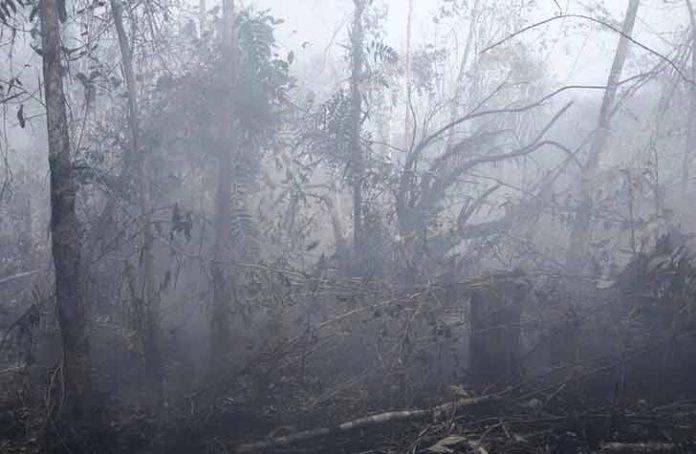 Kebakaran hutan di wilayah Sei Ungar Utara, Kecamatan Kundur Utara, saat ini menyisakan asap-asap yang menimbulkan kabut