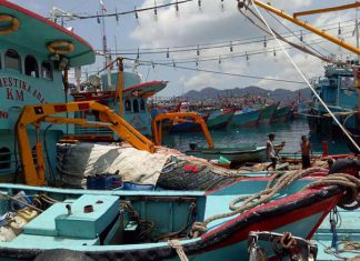 Kapal pukat mayang bejejer dipelabuhan perikanan Antang Kecamatan Siantan Kabupaten Kepulauan Anambas.
