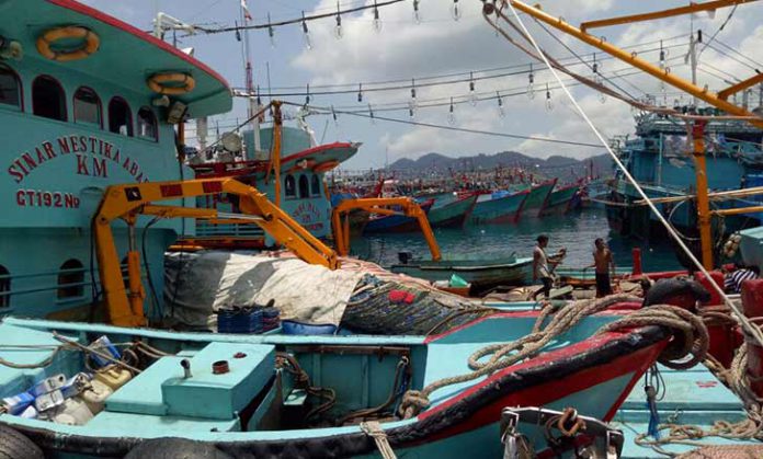 Kapal pukat mayang bejejer dipelabuhan perikanan Antang Kecamatan Siantan Kabupaten Kepulauan Anambas.
