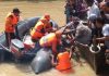 Jasad Kompol Andi Chandra ditemukan tidak jauh dari lokasi tenggelamnya speedboad