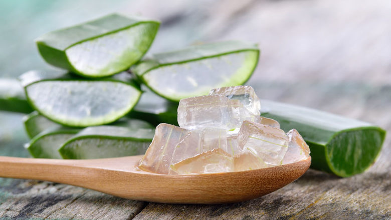 Kenalan Dengan Aloe Vera : Si Cantik Berduri Yang Kaya Manfaat