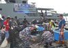 Panen raya budidaya ikan kerapu di Desa Air Sena, Kecamatan Siantan Tengah, KKA, binaan Lanal Tarempa.