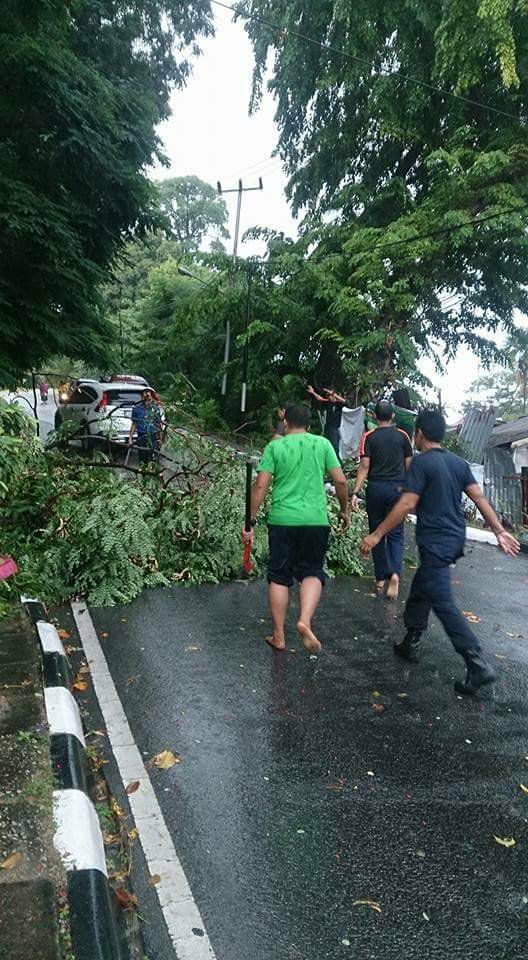 Warga Karimun Tertimpa Pohon di Tanjakan Teluk Air