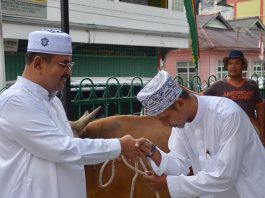 Bupati Karimun Aunur Rafiq menyerahkan hewan kurban kepada pengurus masjid Baitul Karim Kelurahan Tanjungbalai Kota kecamatan Karimun, Rabu (22/8)