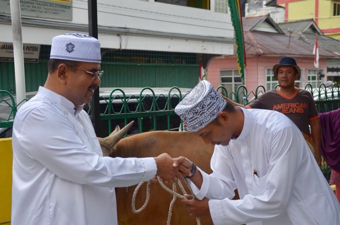 hewan kurban bupati Bupati Karimun Aunur Rafiq menyerahkan hewan kurban kepada pengurus masjid Baitul Karim Kelurahan Tanjungbalai Kota kecamatan Karimun, Rabu (22/8)