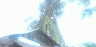 rumah ambruk dihantam angin puting beliung di Paya Rengas Parit Benut Kecamatan Meral, Selasa (28/8)