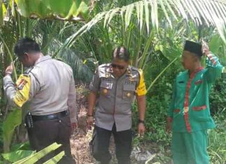 Sejumlah petugas dari Polsek Kundur, beserta masyarakat dan Kepala Desa Setempat, saat mencari bukti-bukti lain yang diduga tempat persembunyian pelaku, Selasa (25/09/18).
