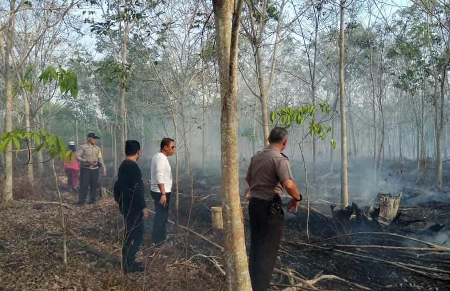 Kebakaran Lahan Di Parit Muda Perbatasan Desa Lubuk