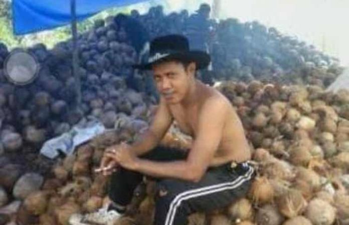 Petani Kelapa di Penyalai