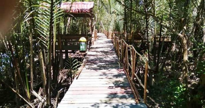 Wisata Hutan Mangrove Mengkuse