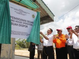 Dirjen Horticultura Kementan RI Dr Suwandi, dan Bupati Karimun, saat meresmikan Unit Penanganan Segar (Packing House Operation) Buah Ekspor