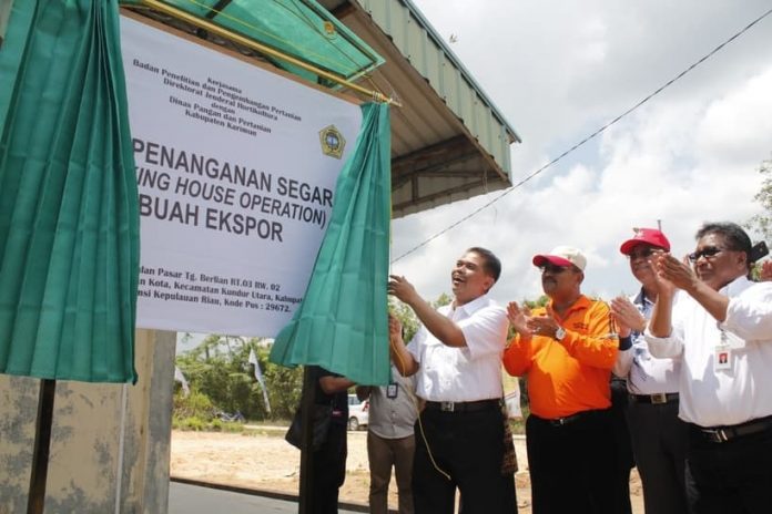 Dirjen Horticultura Kementan RI Dr Suwandi, dan Bupati Karimun, saat meresmikan Unit Penanganan Segar (Packing House Operation) Buah Ekspor