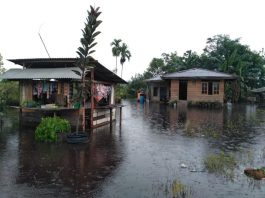 Rumah-rumah Yang Terendam Banjir Di Kundur