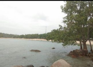 Pantai di Karimun