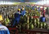 tabung gas