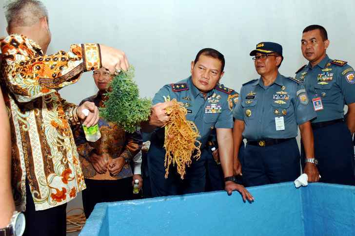 Laksamana Muda TNI Yudo Margono, saat melihat kualitas rumput laut di Pabrik Pengolahan Rumput Laut, di Desa Nguan Pulau Galang, Kamis (04/07/19).