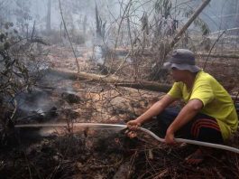 Karhutla di desa Lubuk